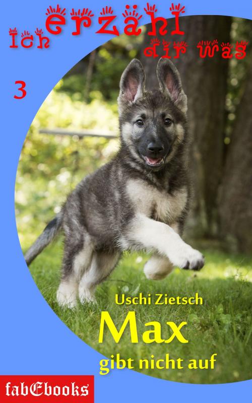Cover of the book Ich erzähl dir was 3: Max gibt nicht auf by Uschi Zietsch, Fabylon Verlag