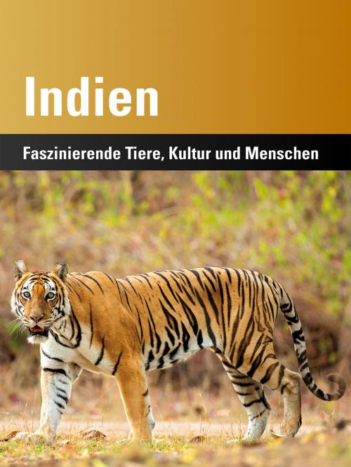Cover of the book Indien by Harald Lydorf, Kerstin von Splényi, Harry P. Lux, TiPP 4 Verlag