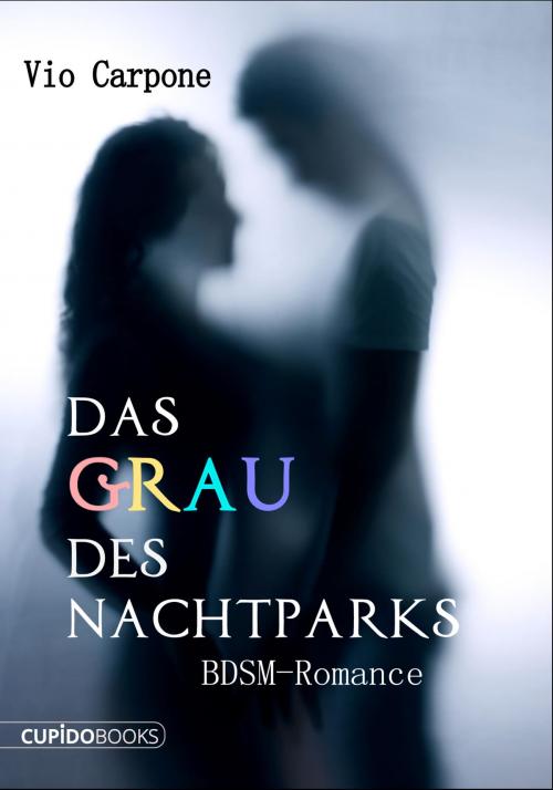 Cover of the book Das Grau des Nachtparks by Vio Carpone, Cupido Books