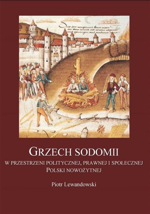 Cover of the book Grzech sodomii w przestrzeni politycznej, prawnej i społecznej Polski nowożytnej by Piotr Lewandowski, e-bookowo.pl