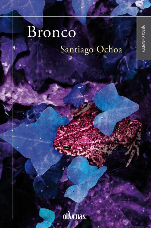 Cover of the book Bronco by Santiago Ochoa, Ediciones Oblicuas