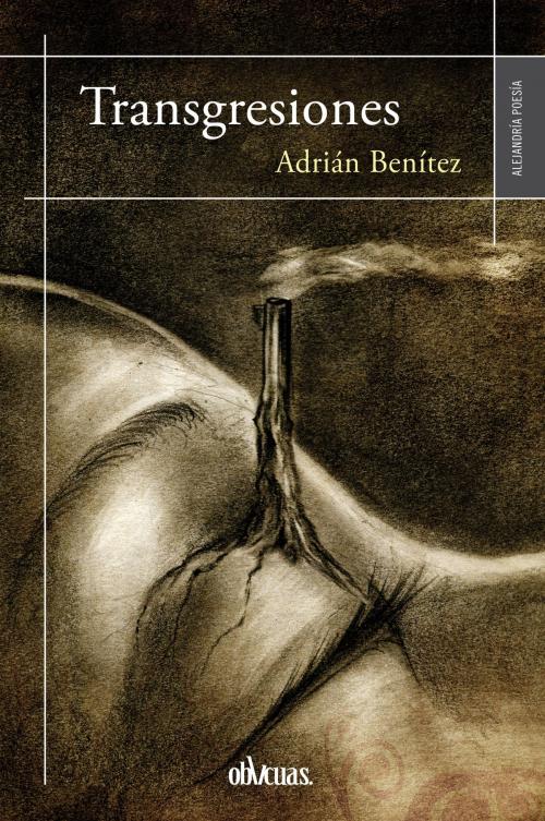 Cover of the book Transgresiones by Adrián Benítez, Ediciones Oblicuas