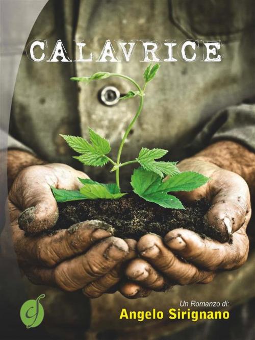 Cover of the book Calavrice by Angelo Sirignano, CIESSE Edizioni