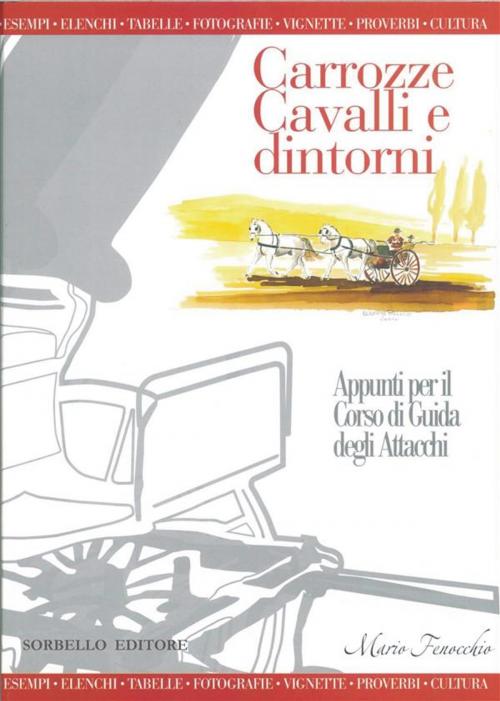 Cover of the book Carrozze, cavalli e dintorni by Mario Fenocchio, Antonio Sorbello Editore