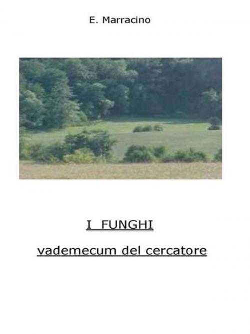 Cover of the book I Funghi - vademecum del cercatore by Ermanno Marracino, Youcanprint Self-Publishing