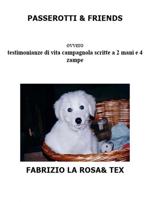 Cover of the book Passerotti & Friends by Fabrizio La Rosa, Youcanprint