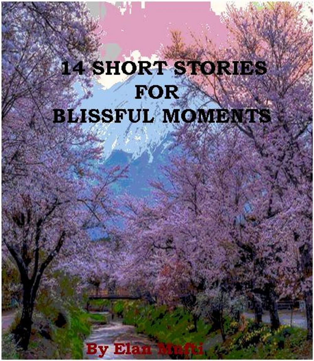 Big bigCover of 14 Short Stories for Blissful Moments