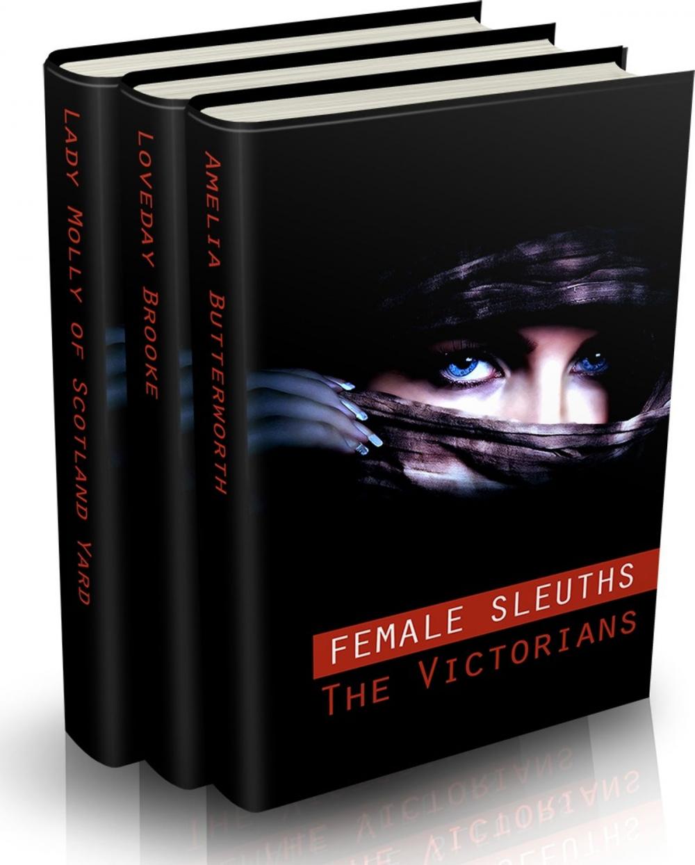 Big bigCover of Female Sleuths Multipack - 29 Books Total