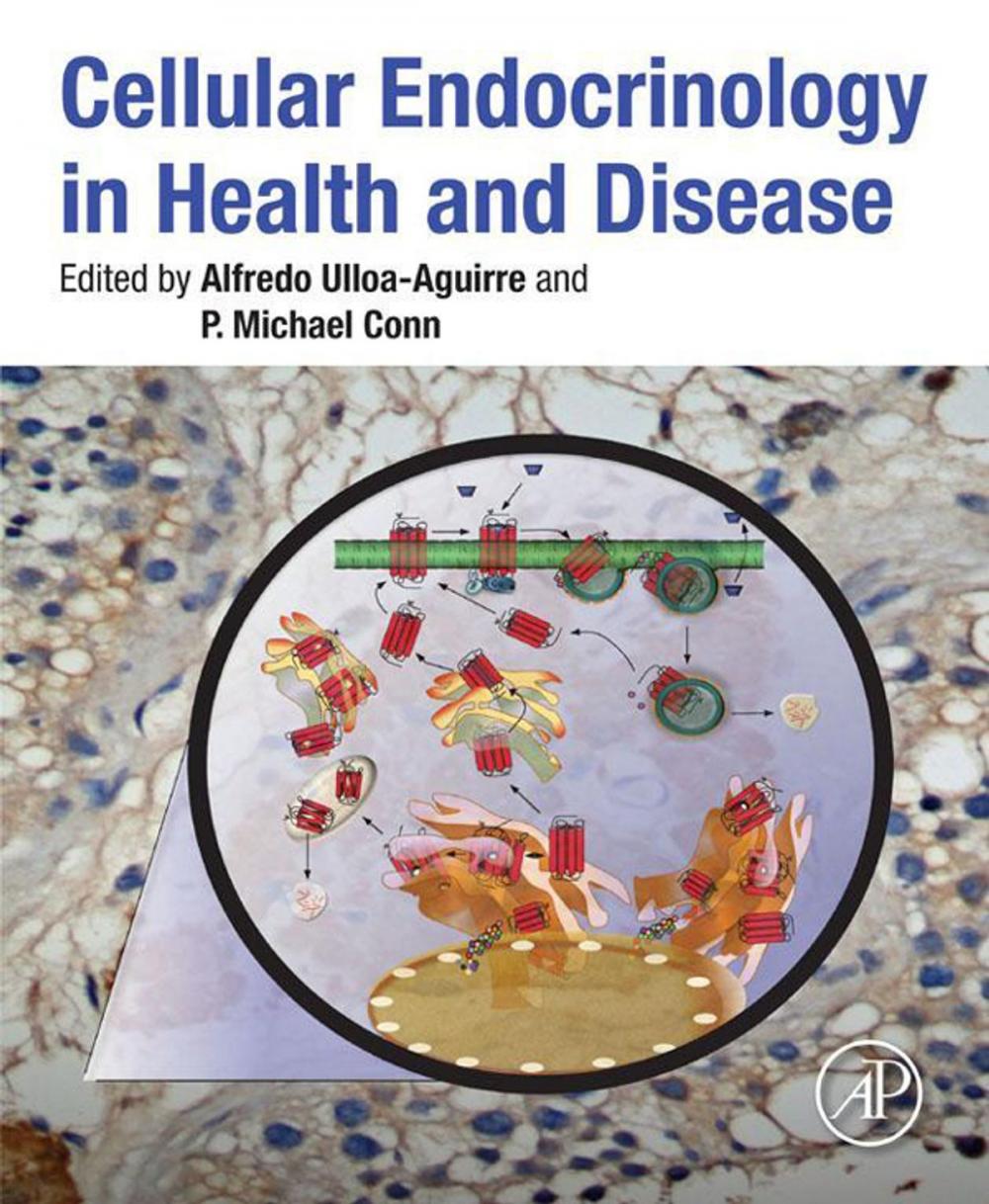Big bigCover of Cellular Endocrinology in Health and Disease