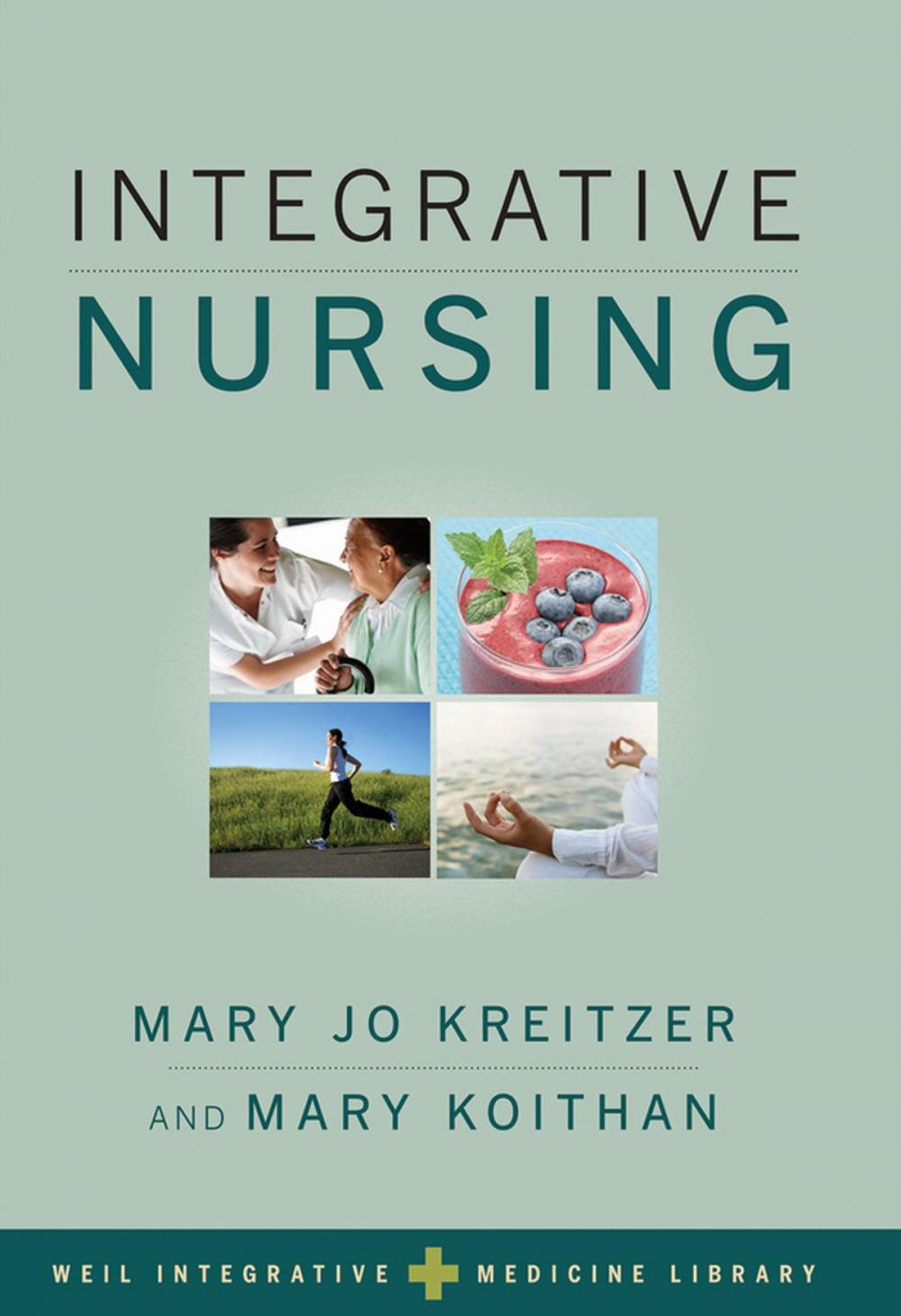 Big bigCover of Integrative Nursing