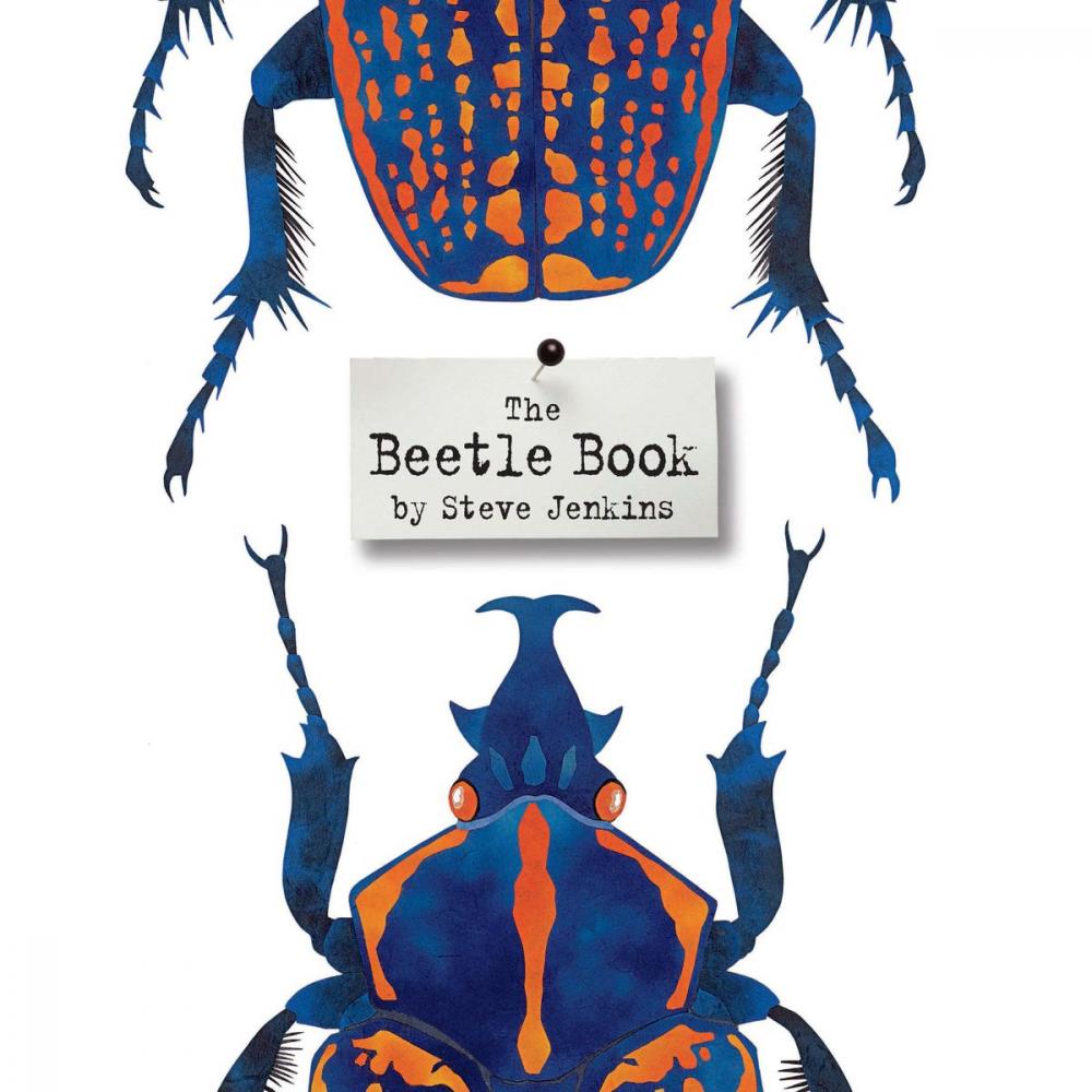 Big bigCover of The Beetle Book