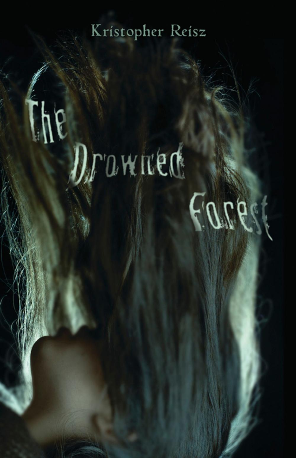 Big bigCover of The Drowned Forest