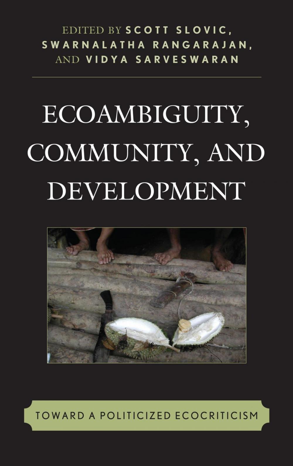 Big bigCover of Ecoambiguity, Community, and Development