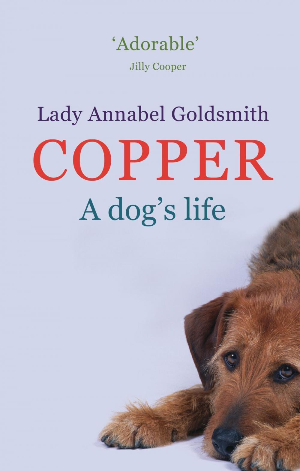 Big bigCover of Copper: A Dog's Life