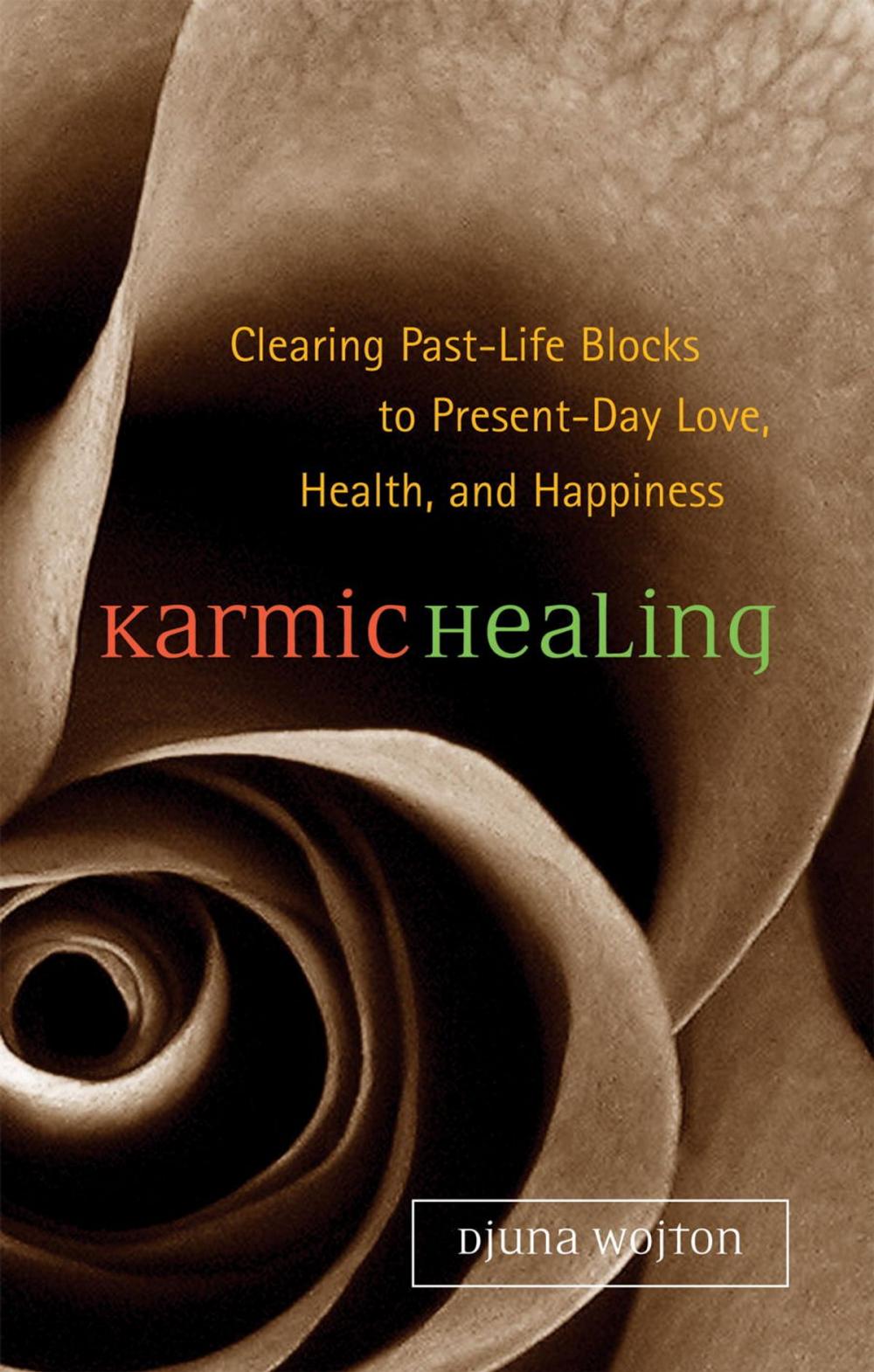 Big bigCover of Karmic Healing