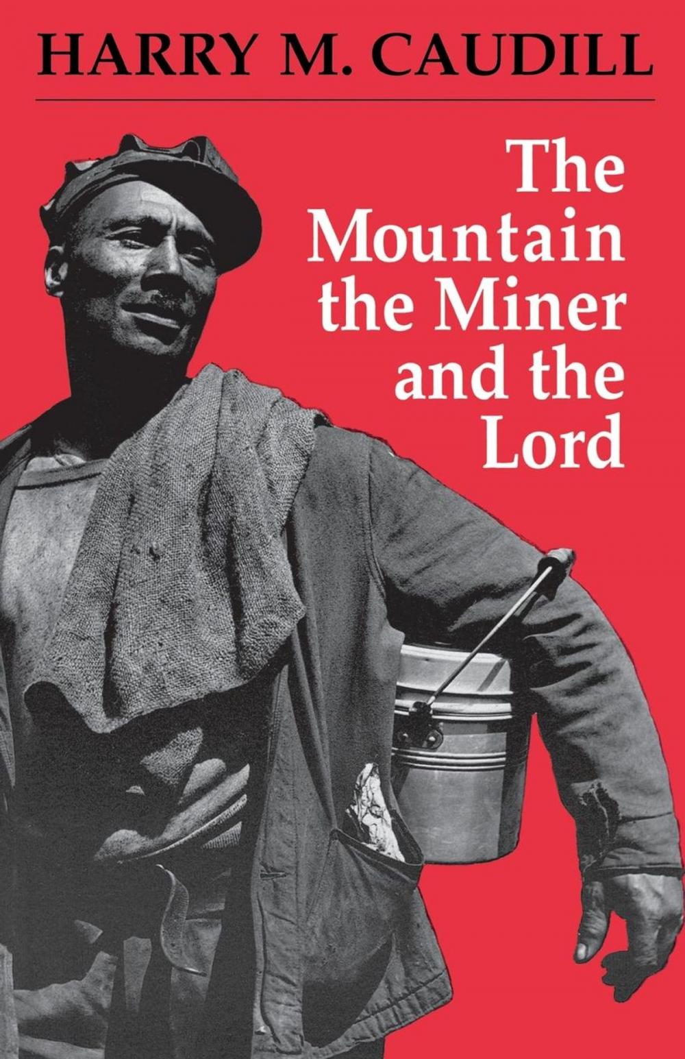 Big bigCover of The Mountain, the Miner, and the Lord and Other Tales from a Country Law Office