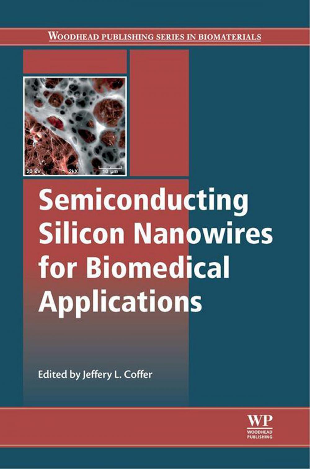 Big bigCover of Semiconducting Silicon Nanowires for Biomedical Applications
