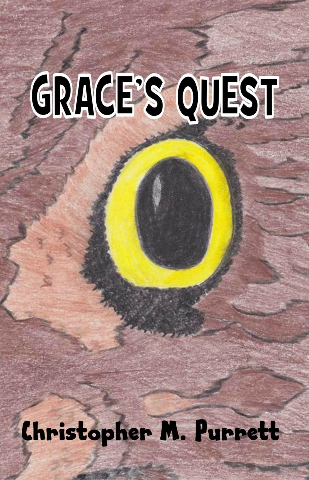 Big bigCover of Grace's Quest