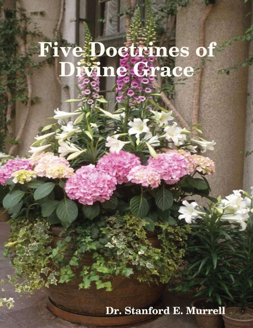 Big bigCover of Five Doctrines of Divine Grace