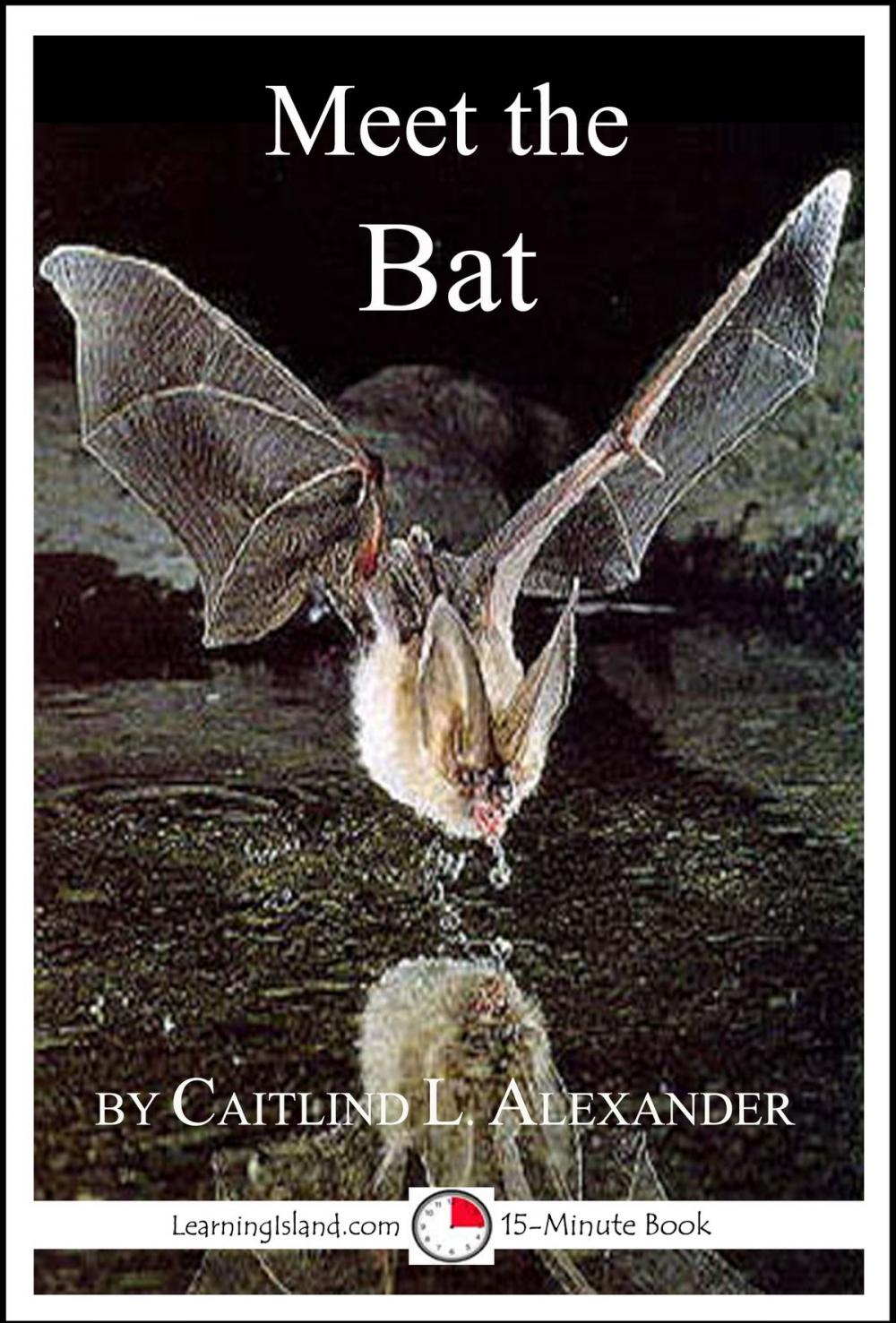 Big bigCover of Meet the Bat: A 15-Minute Book for Early Readers