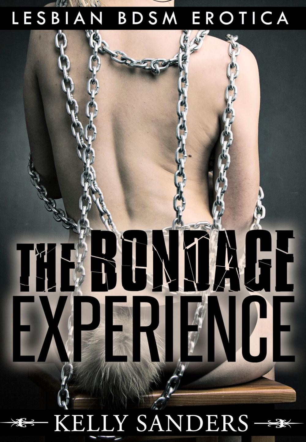 Big bigCover of The Bondage Experience