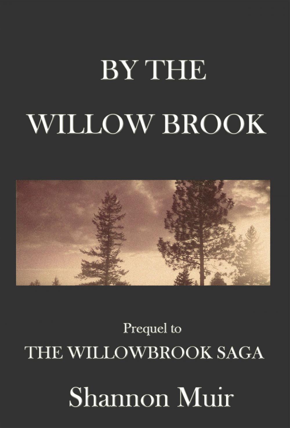 Big bigCover of By The Willow Brook: A Prequel to the Willowbrook Saga