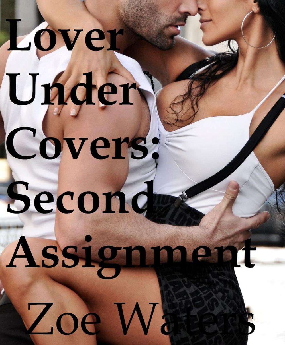Big bigCover of Lover Under Covers: Second Assignment