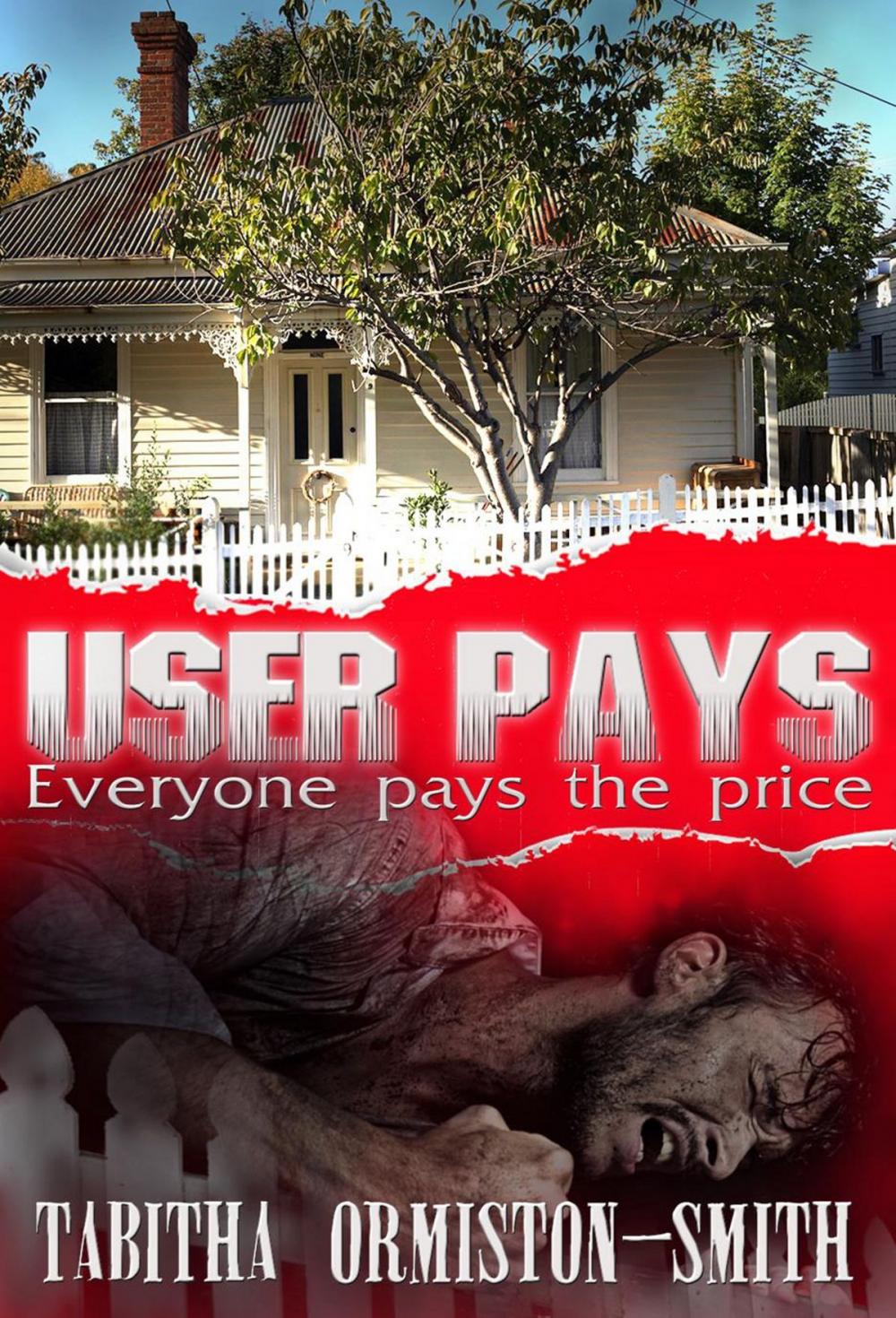 Big bigCover of User Pays