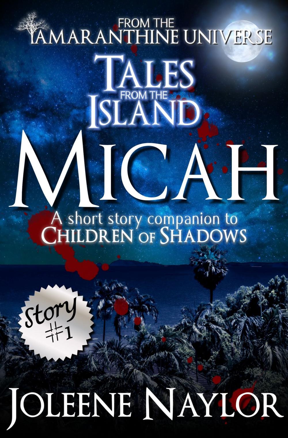 Big bigCover of Micah (Tales from the Island)