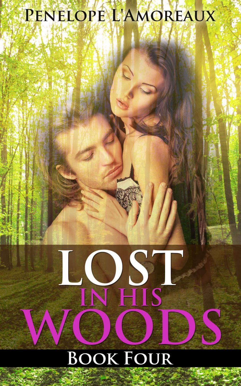 Big bigCover of Lost in His Woods: Book Four
