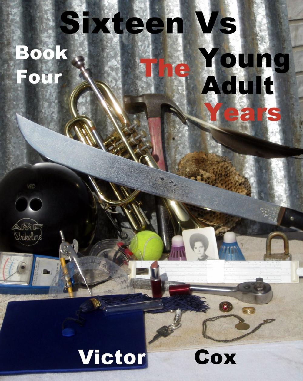 Big bigCover of Sixteen Vs, Book Four, The Young Adult Years