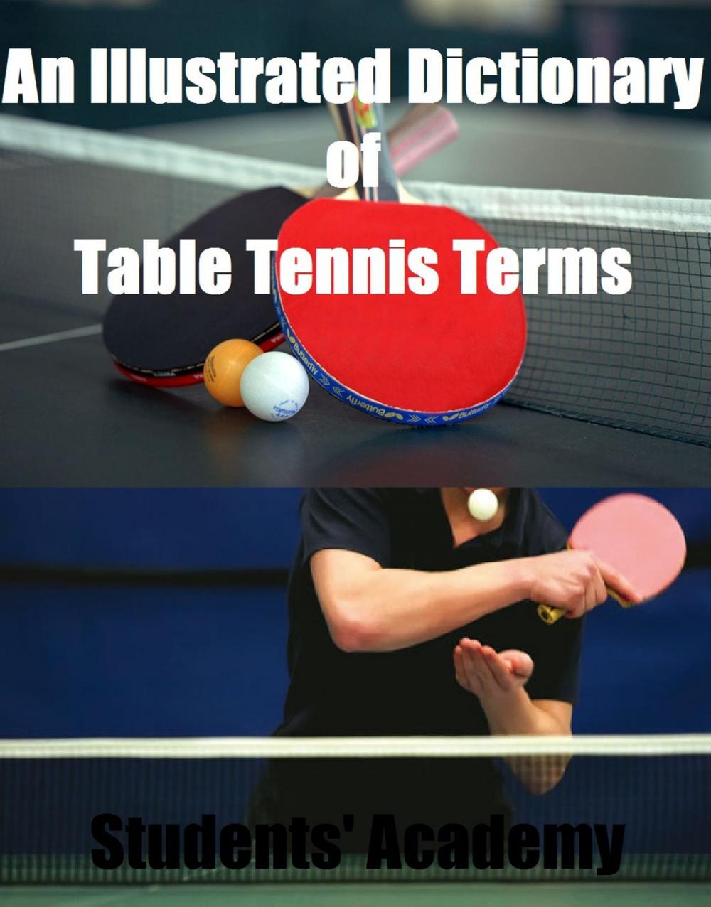 Big bigCover of An Illustrated Dictionary of Table Tennis Terms