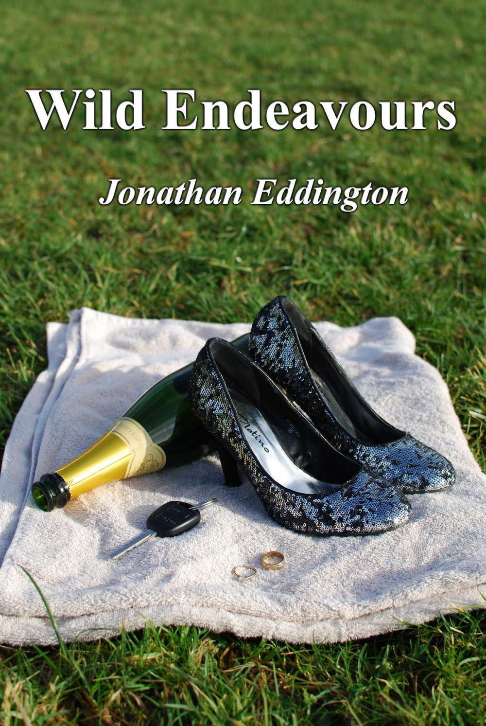 Big bigCover of Wild Endeavours