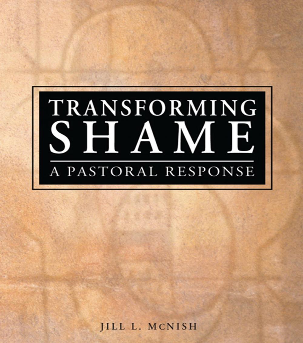 Big bigCover of Transforming Shame