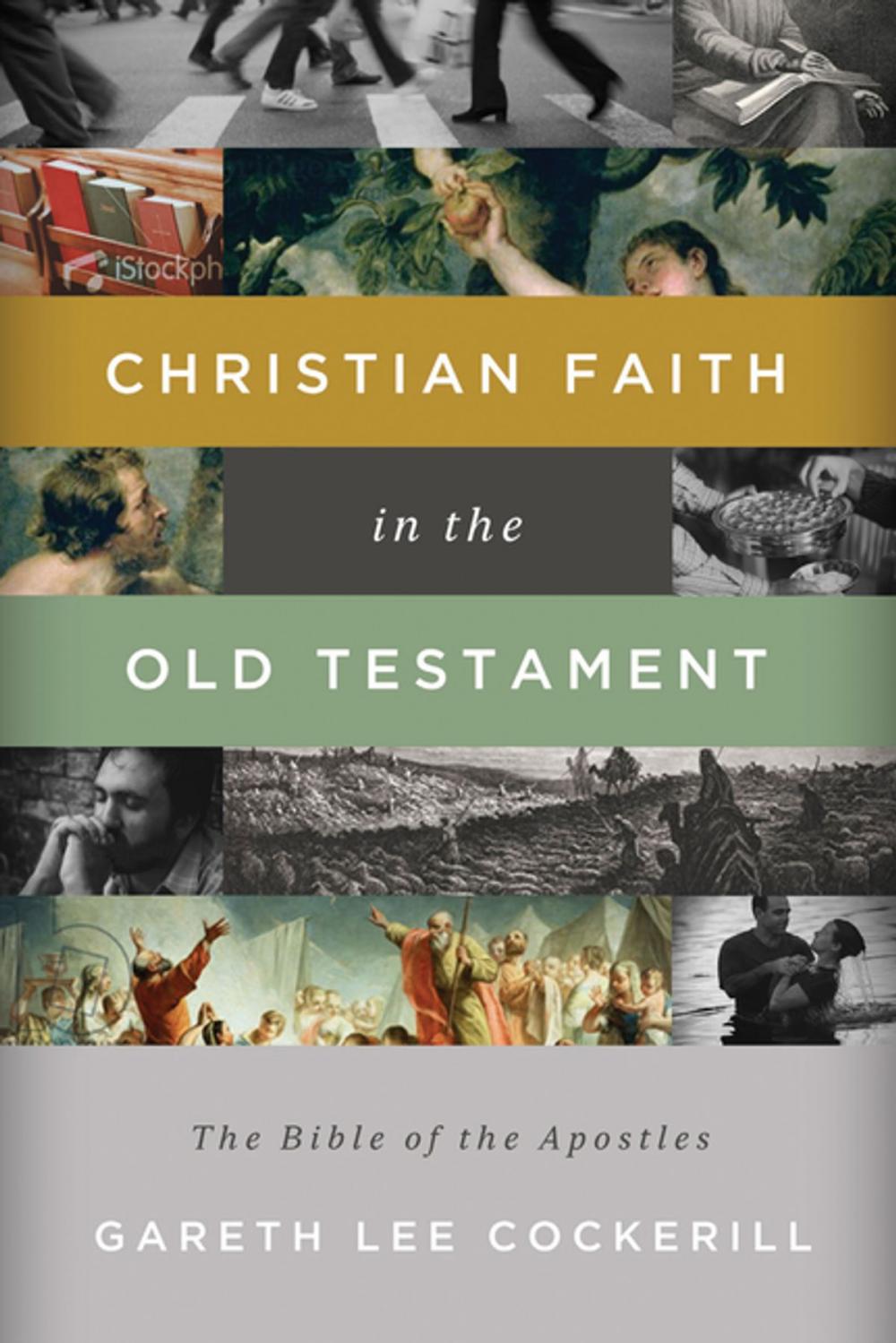 Big bigCover of Christian Faith in the Old Testament