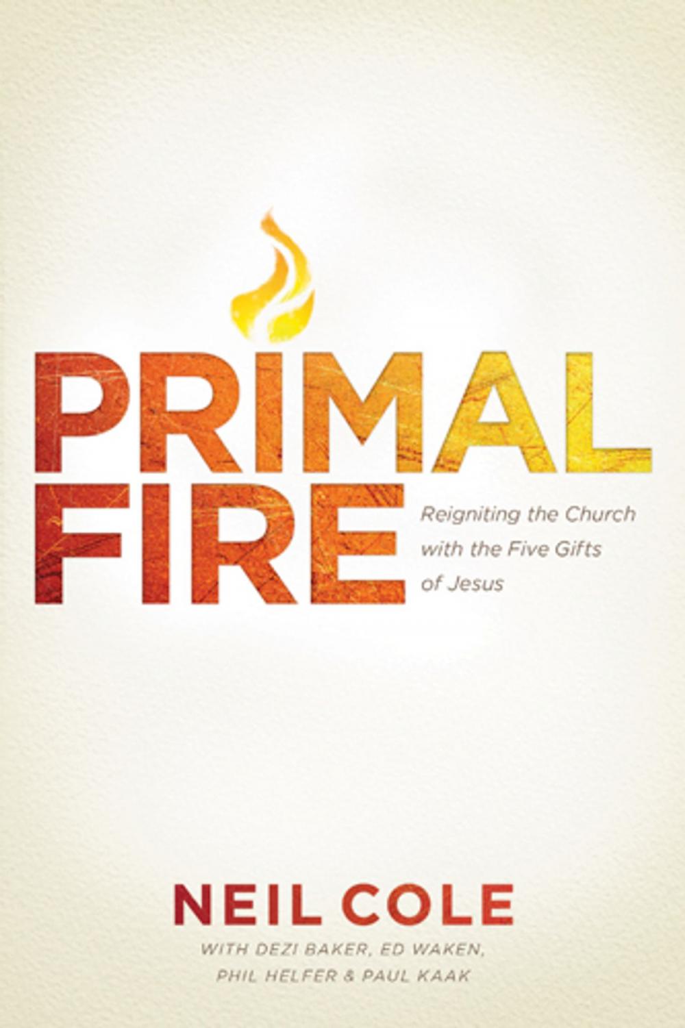 Big bigCover of Primal Fire