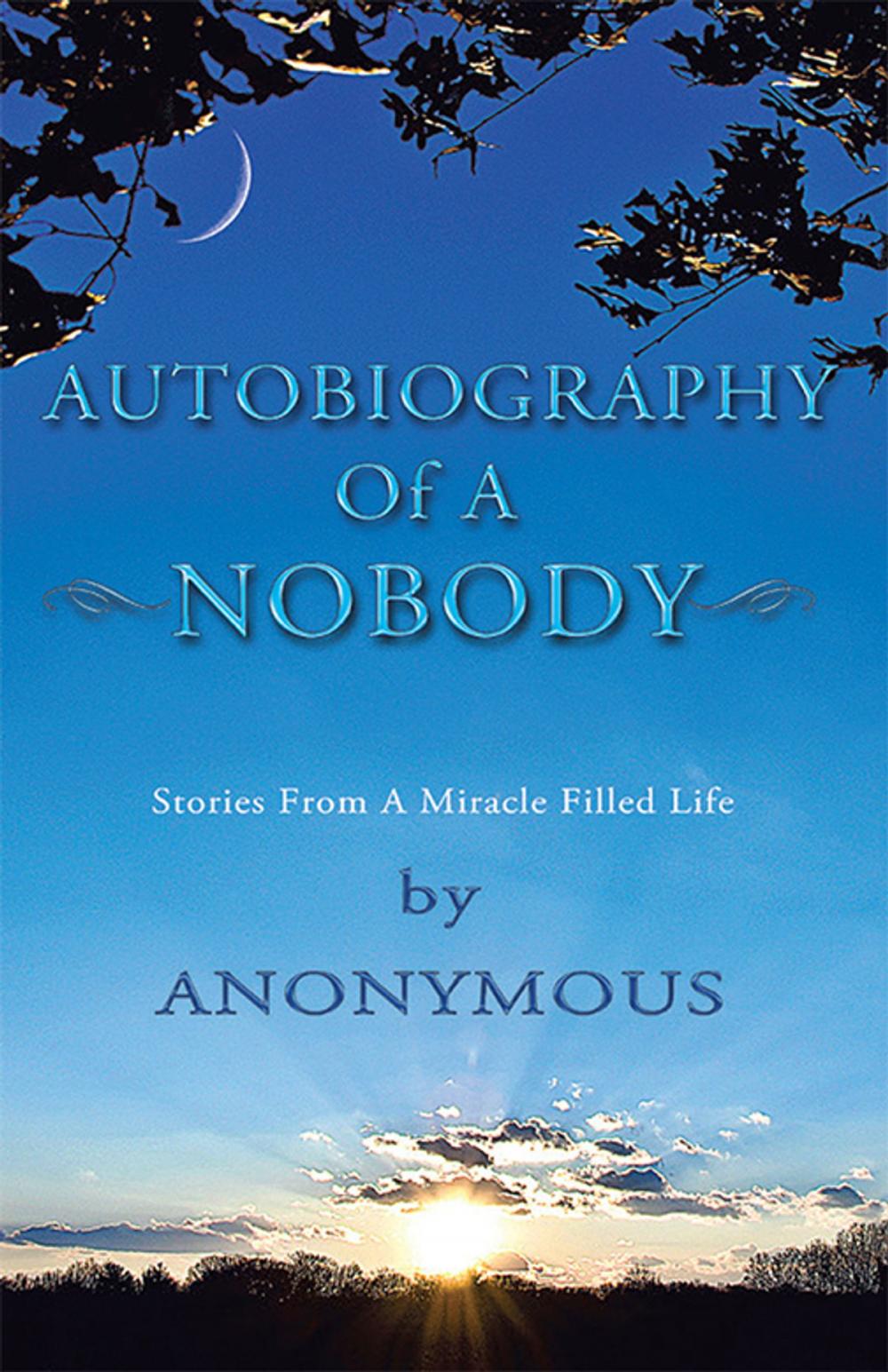 Big bigCover of Autobiography of a Nobody