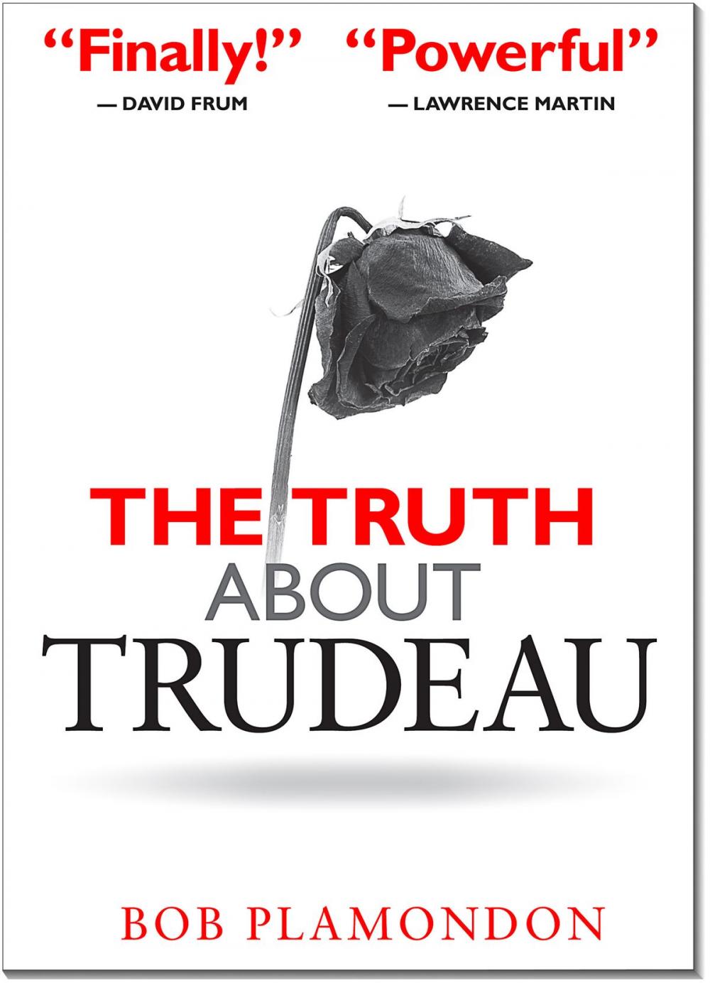 Big bigCover of The Truth About Trudeau