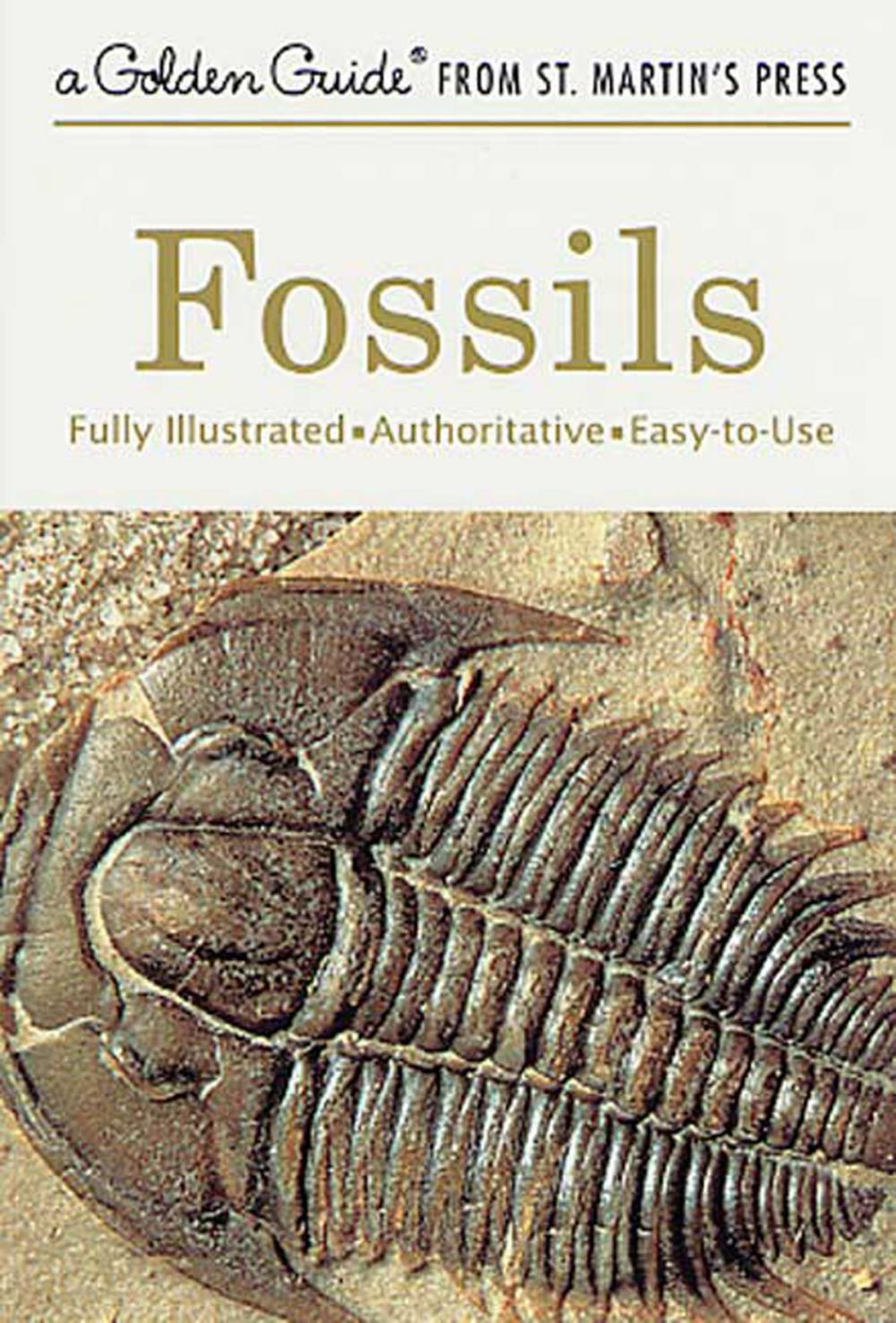 Big bigCover of Fossils