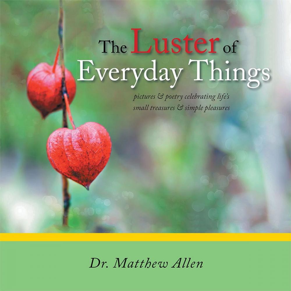 Big bigCover of The Luster of Everyday Things
