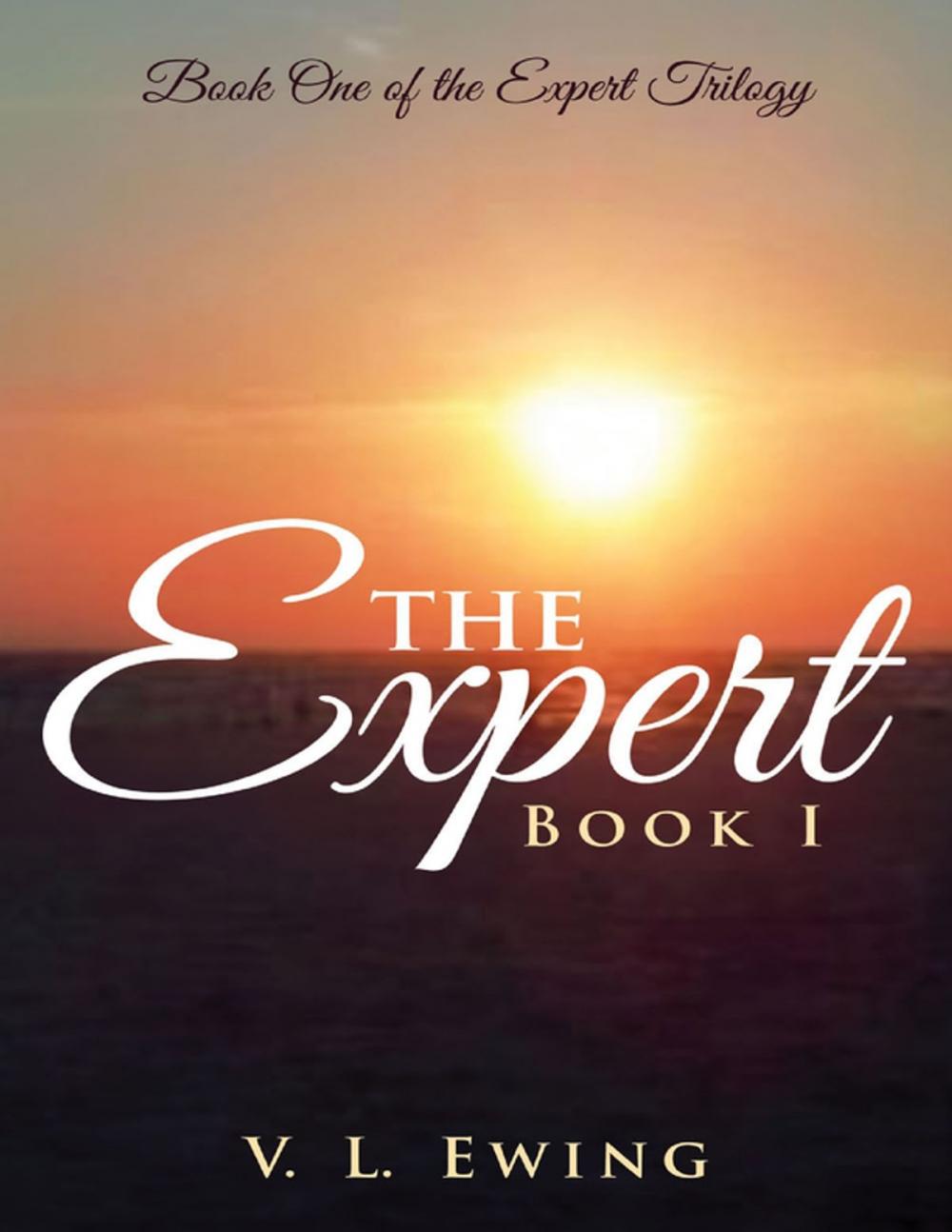 Big bigCover of The Expert: Book I