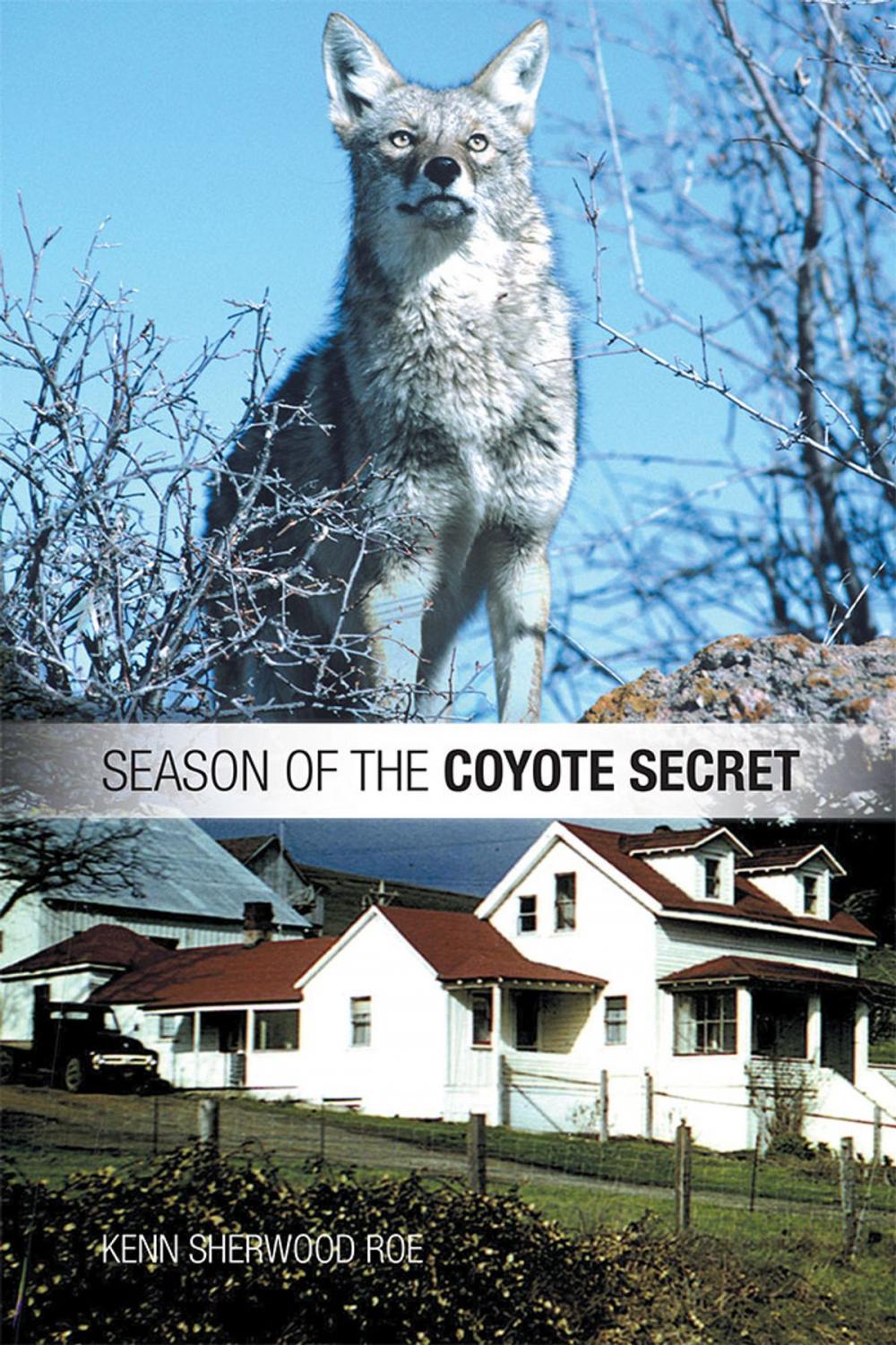 Big bigCover of Season of the Coyote Secret