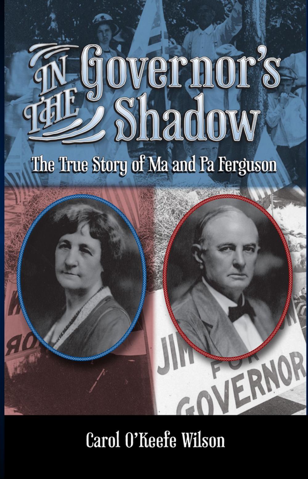 Big bigCover of In the Governor's Shadow