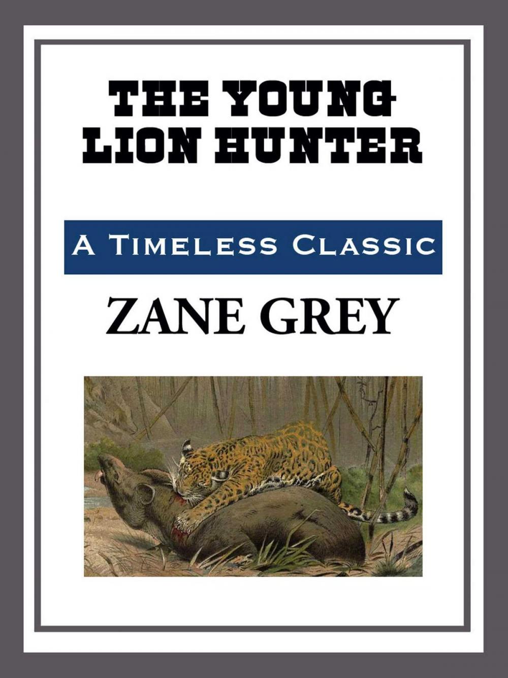 Big bigCover of The Young Lion Hunter