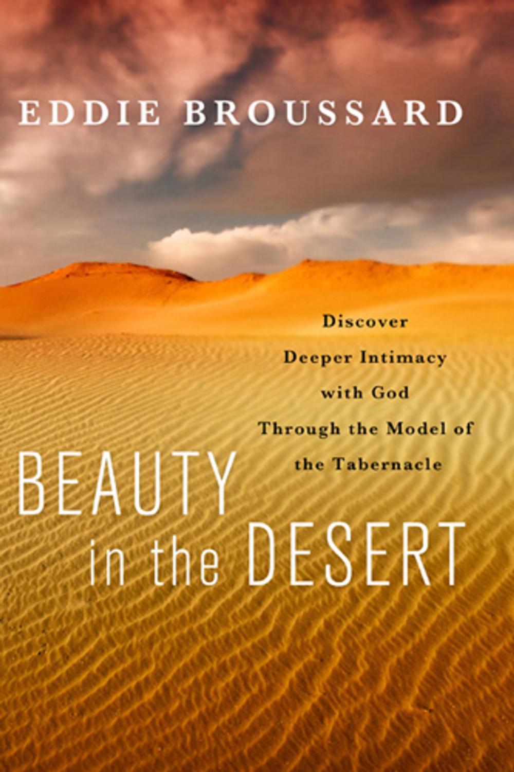 Big bigCover of Beauty in the Desert