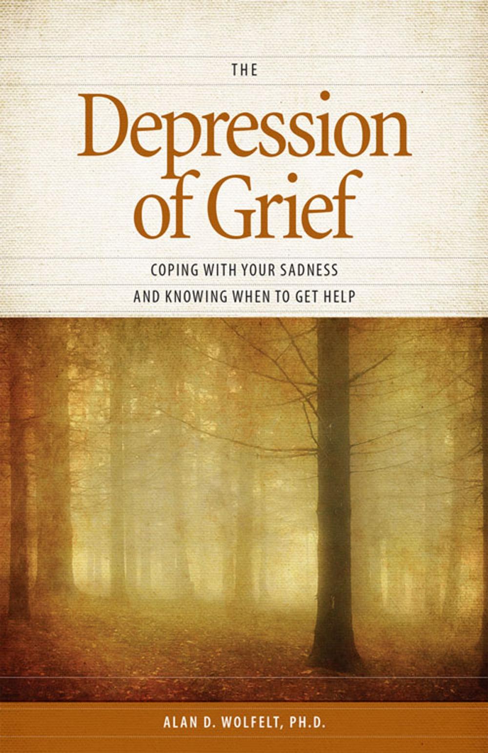 Big bigCover of The Depression of Grief