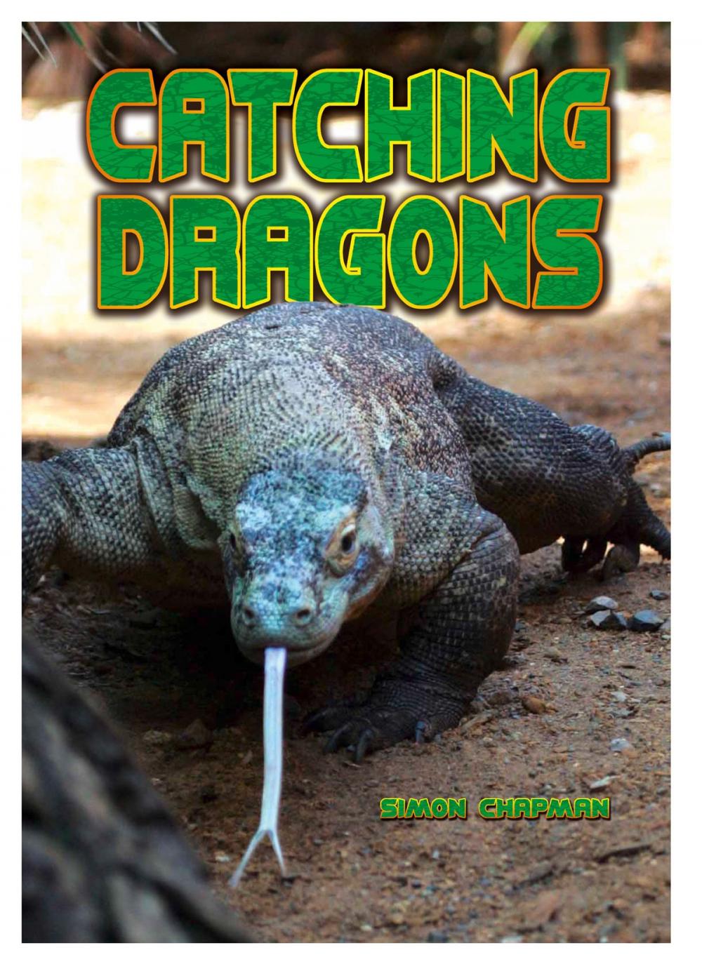Big bigCover of Catching Dragons