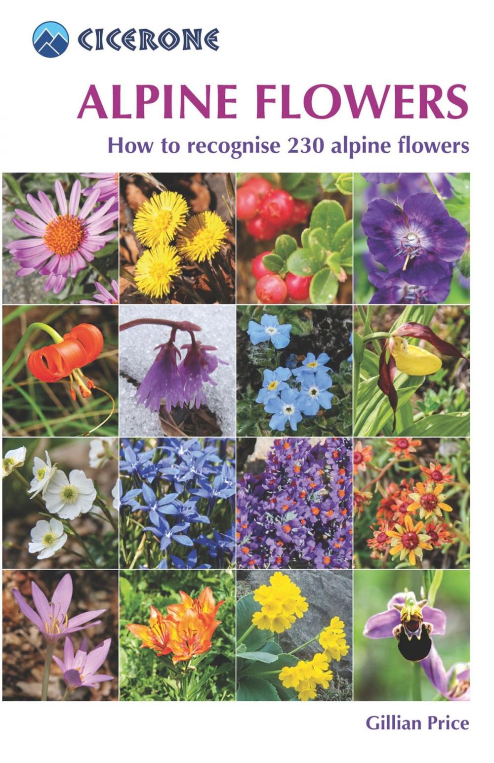 Big bigCover of Alpine Flowers