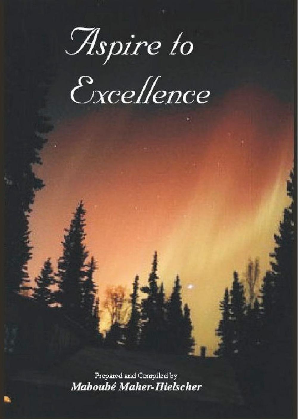 Big bigCover of Aspire To Excellence