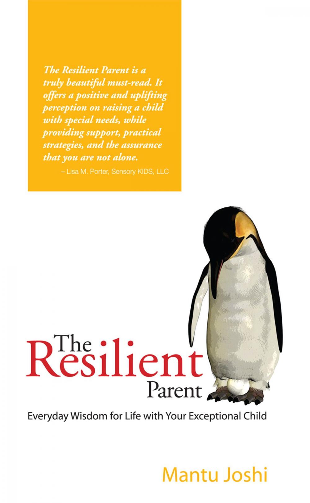 Big bigCover of The Resilient Parent